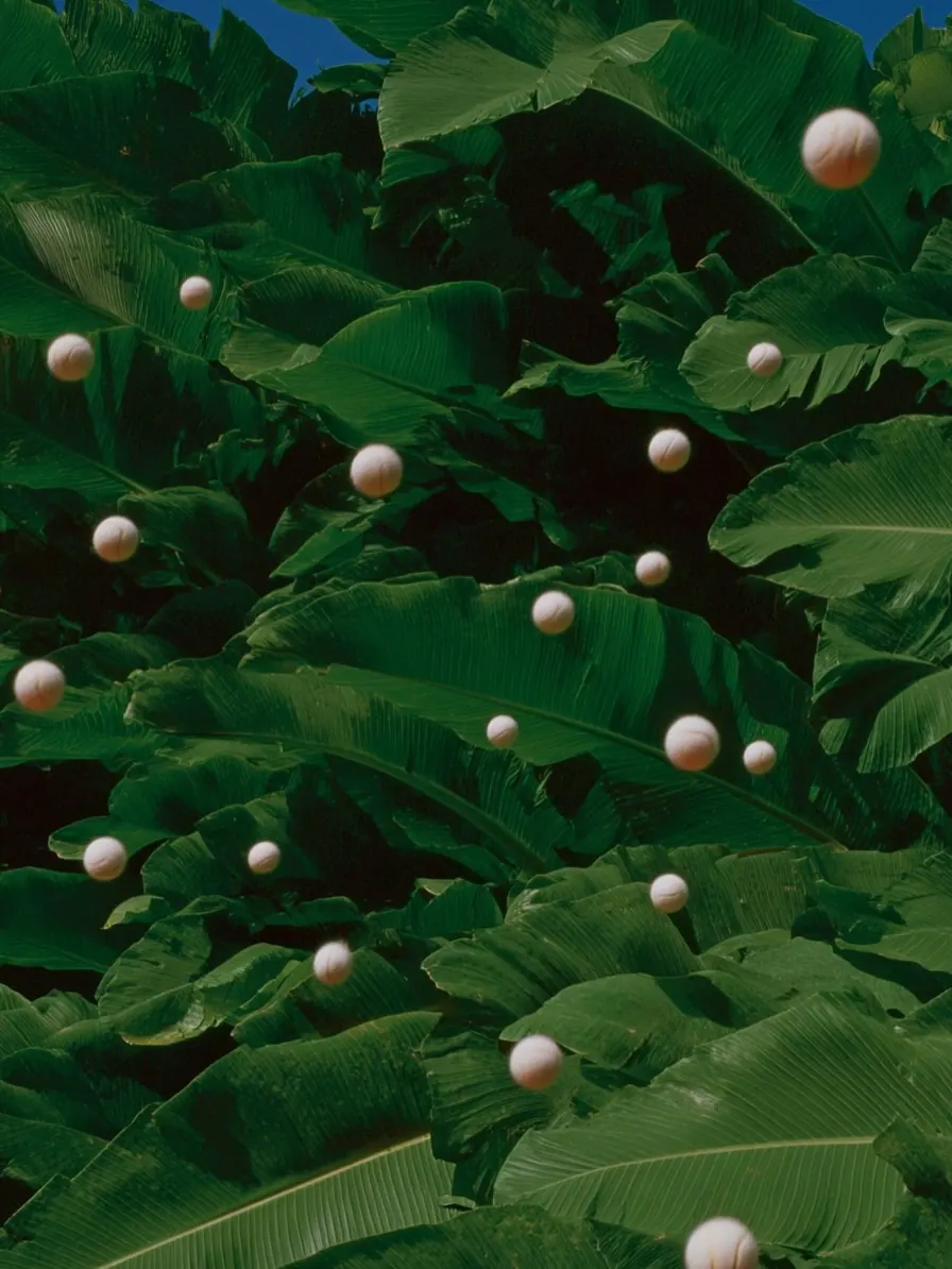 Pearls in the banana leaves